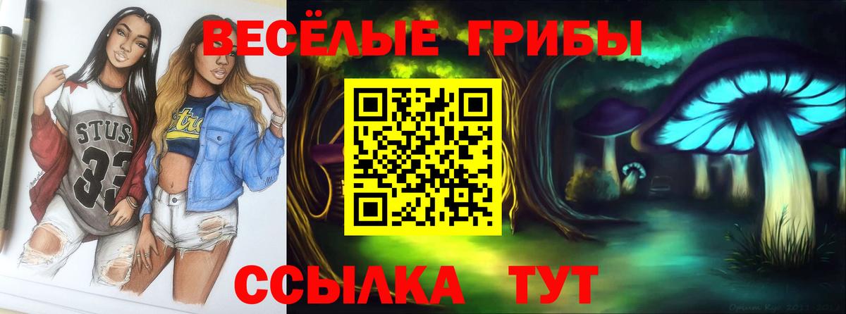 Гагарин  Галлюциногенные грибы прущие грибы  Галлюциногенные грибы мухоморы  Вход с VPN 